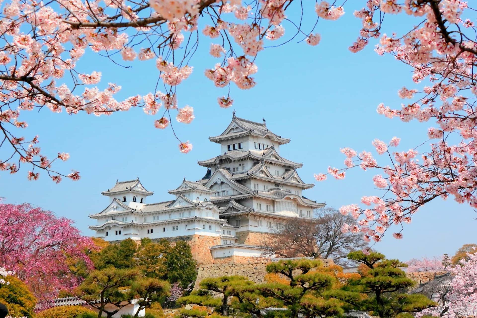 New Partnership with Japan Technical Intern Program